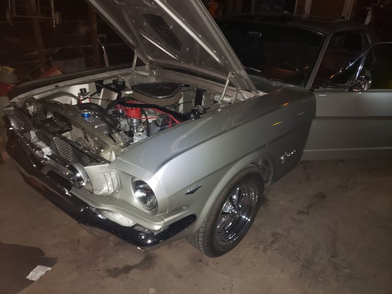 Mustang-2-768x576 (1)